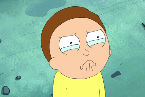 How's Morty doing at the end of Season 3?