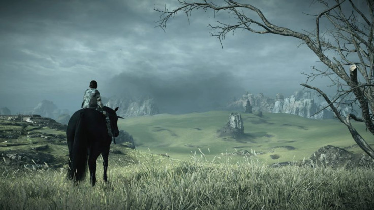 Shadow of the Colossus is a great-looking game. 