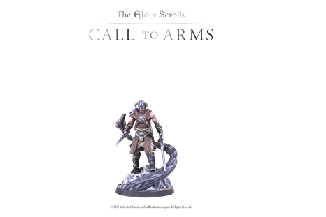 Call to Arms is a tabletop game set in the Elder Scrolls universe, and it has miniatures!