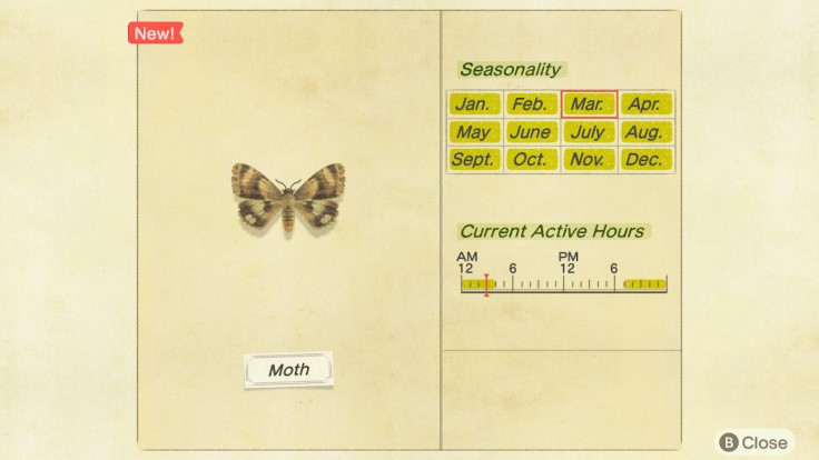 The Critterpedia app entry for the moth.