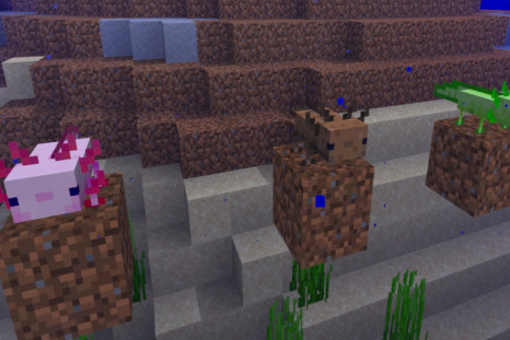 Minecraft: Java Edition snapshot adds axolotl from 'Caves and Cliffs Update'