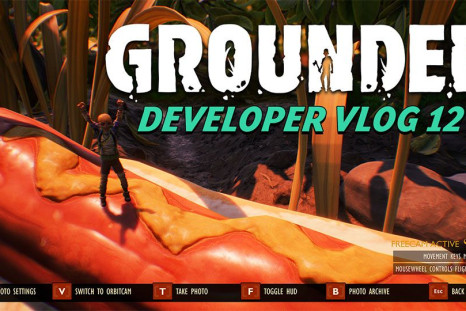 Grounded Update 0.8.0