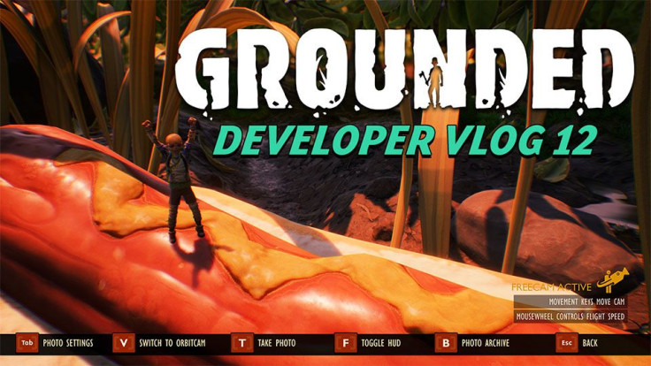 Grounded Update 0.8.0