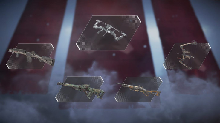 Marksman Weapon Category