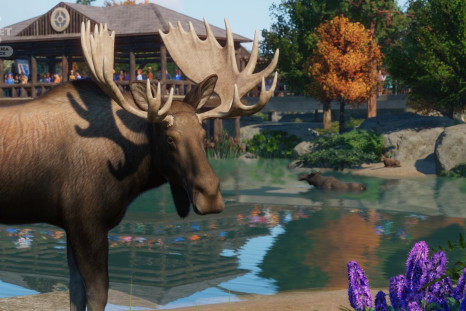 The Planet Zoo Update 1.7
