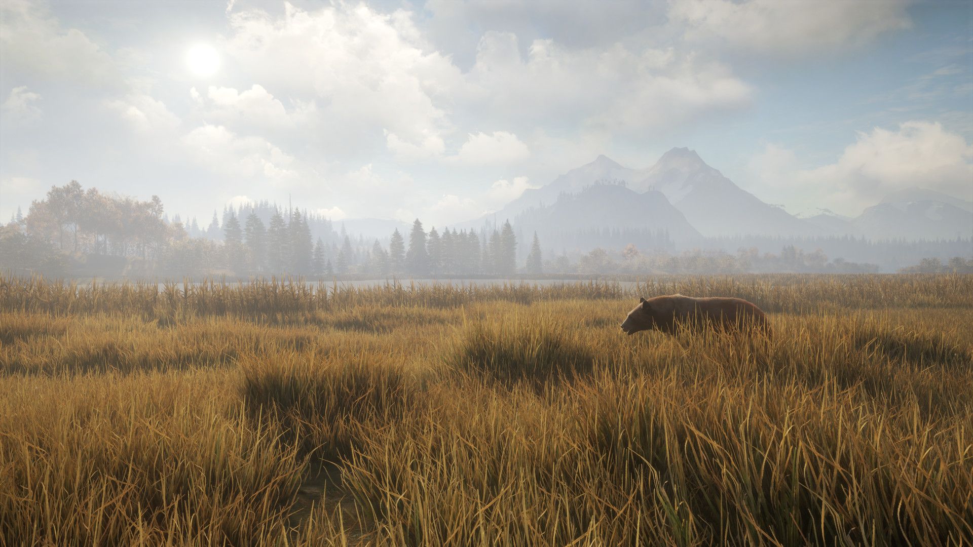 theHunter Call of the Wild "Mississippi Acres Preserve" Out