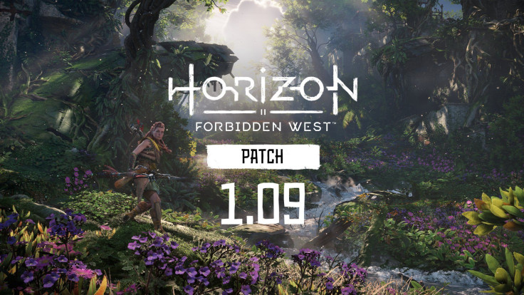 Horizon Forbidden West Update 1.09 