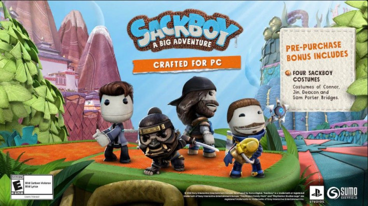 Sackboy PC Pre-Order Bonus