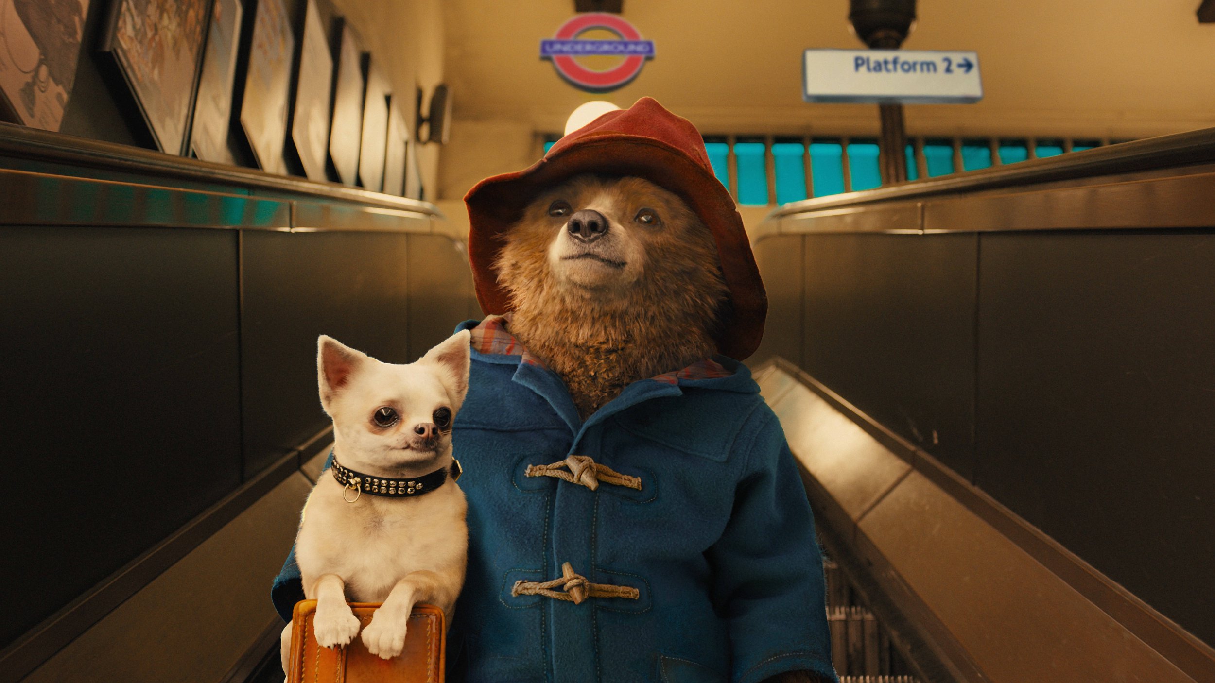 paddington bear movie review