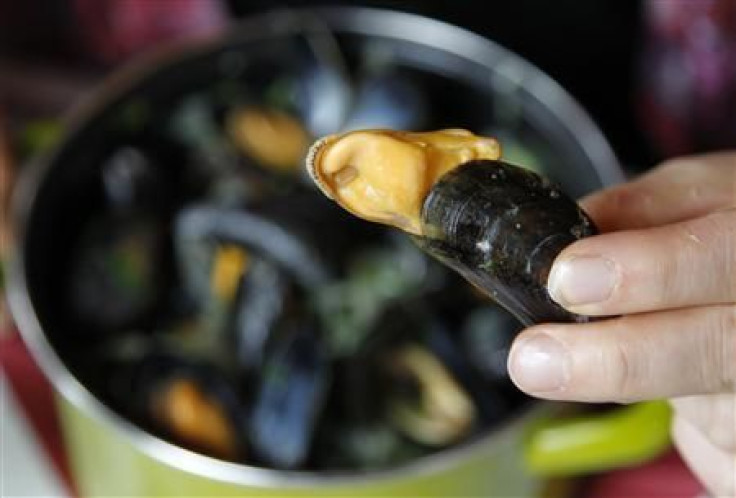 Without mussels, what will Floridians eat with Belgian beer?