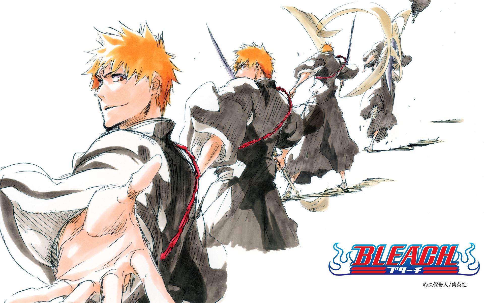 Where to Start the Bleach Manga After the Anime