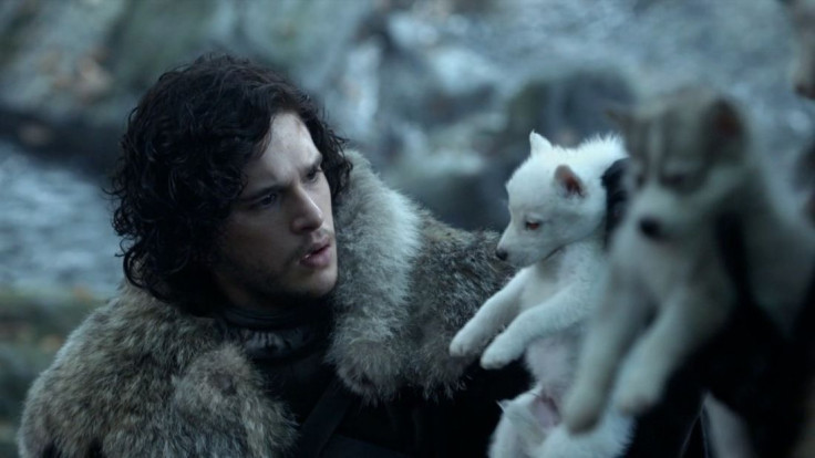 Jon Snow and Ghost may share a deeper connection than we know. In the books anyway
