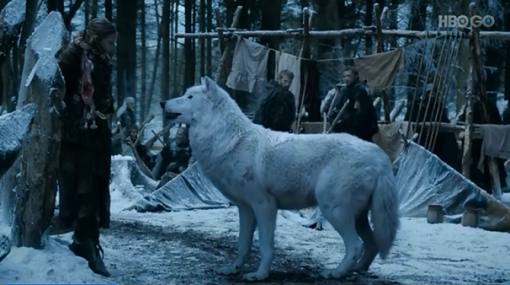 Jon's direwolf Ghost 